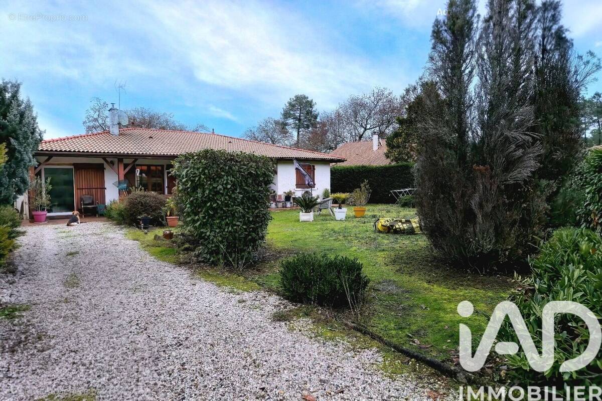 Photo 1 - Maison à SORE