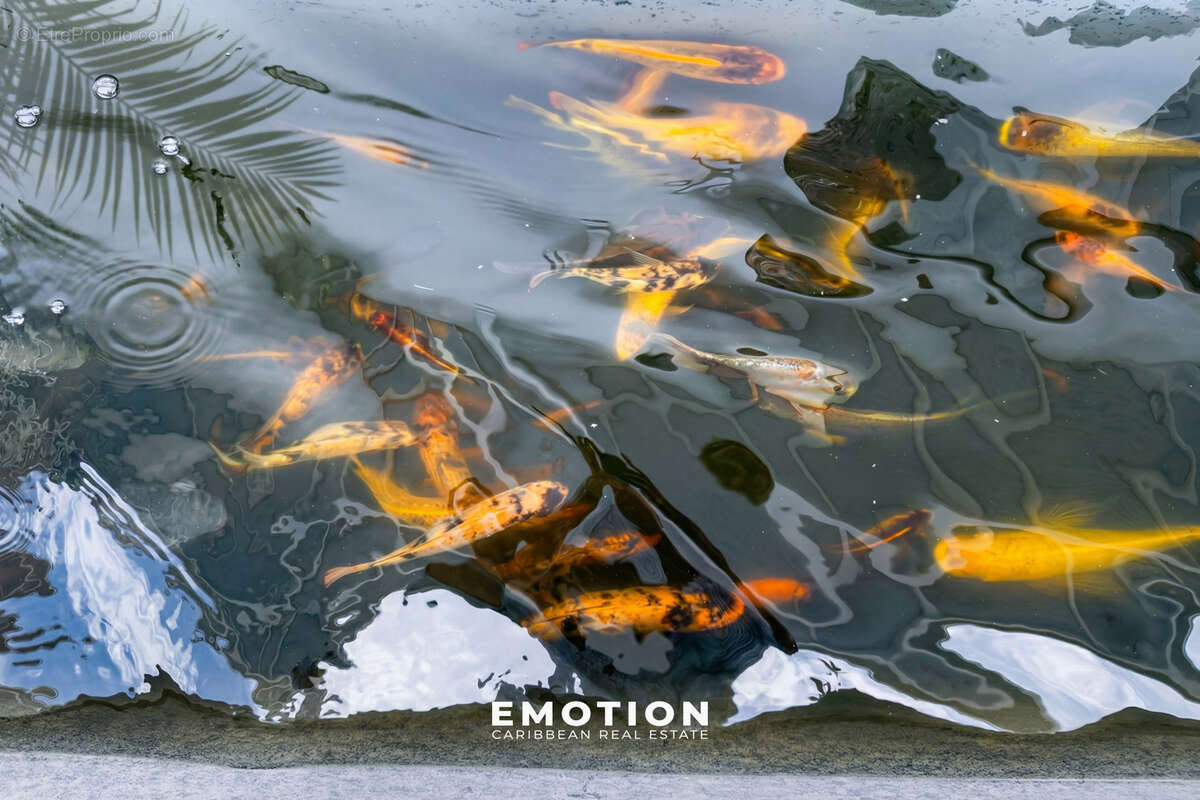 Maison à SAINT-FRANCOIS