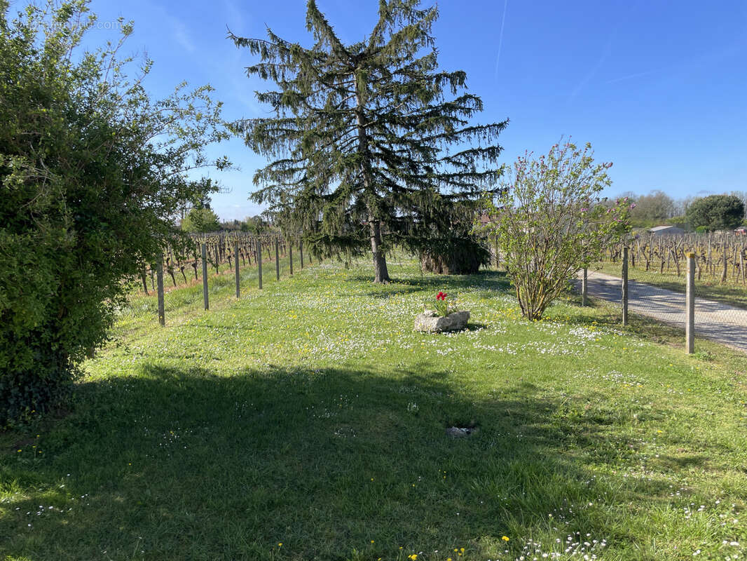 Maison à SAINTE-COLOMBE