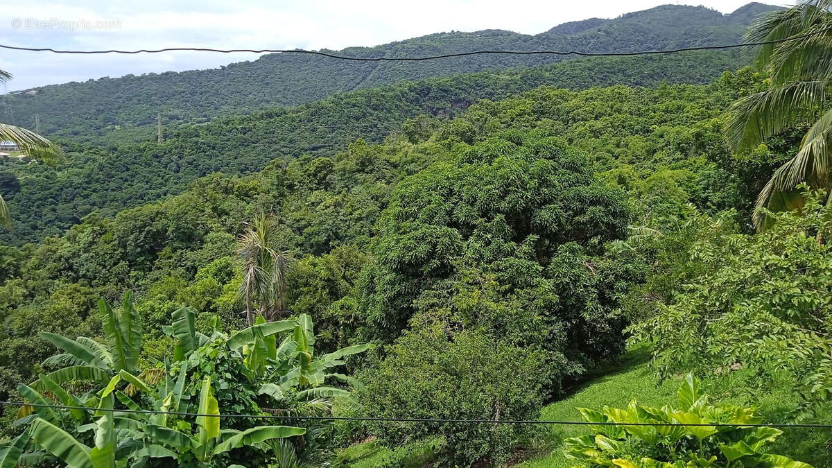 Maison à CASE-PILOTE