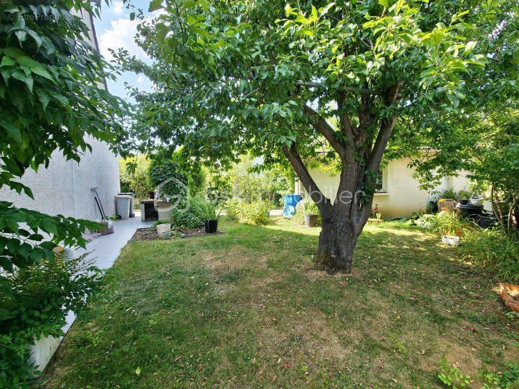 Maison familiale de charme – 153 m² habitables – 170 m² utiles – quartier recherché de la haie bertrand - photo 5