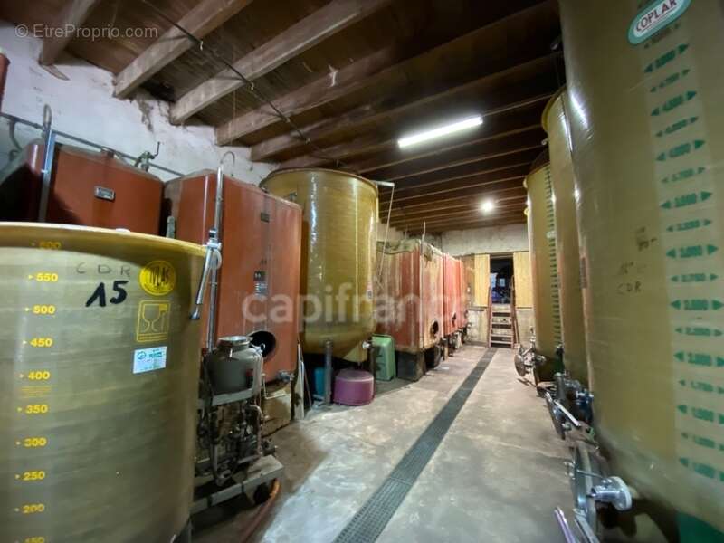 Dpt Gard (30), Domaine viticole de 16 hectares avec Chai et ancienne ferme indépendante - photo 6