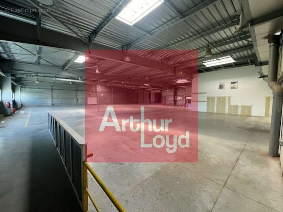 2185 m² à Saint-Etienne-De-Fougeres  - photo 4