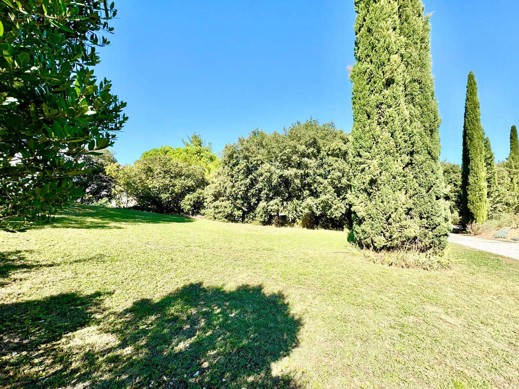 Terrain à LES MATELLES