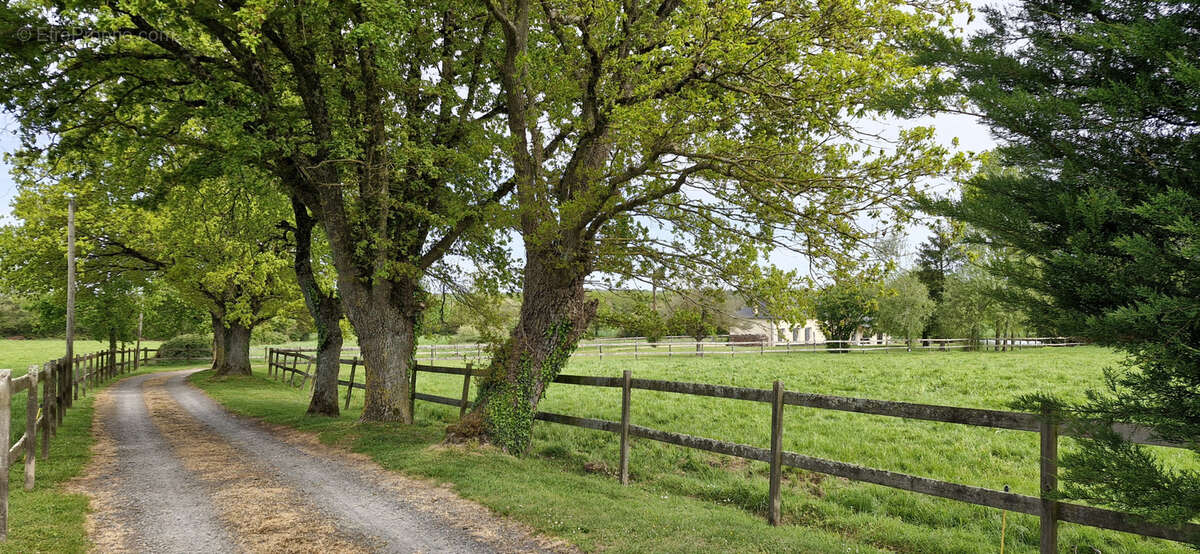 Maison à LE LION-D'ANGERS
