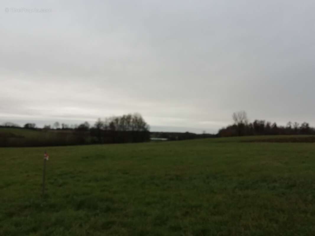 Terrain à SAINT-TRIVIER-DE-COURTES