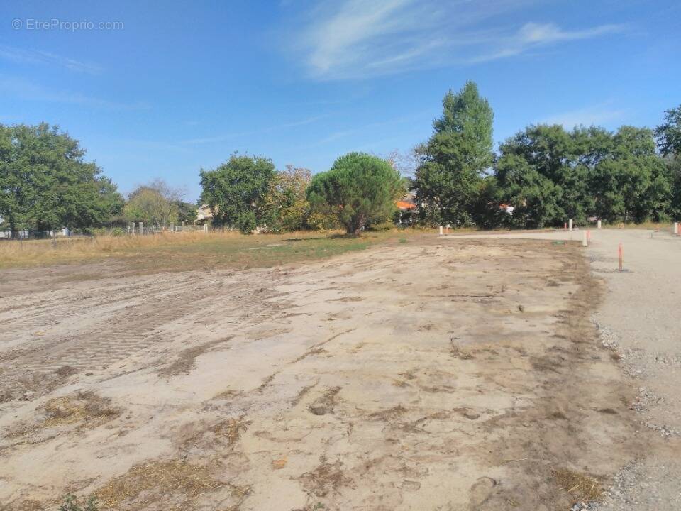 Terrain à MIOS