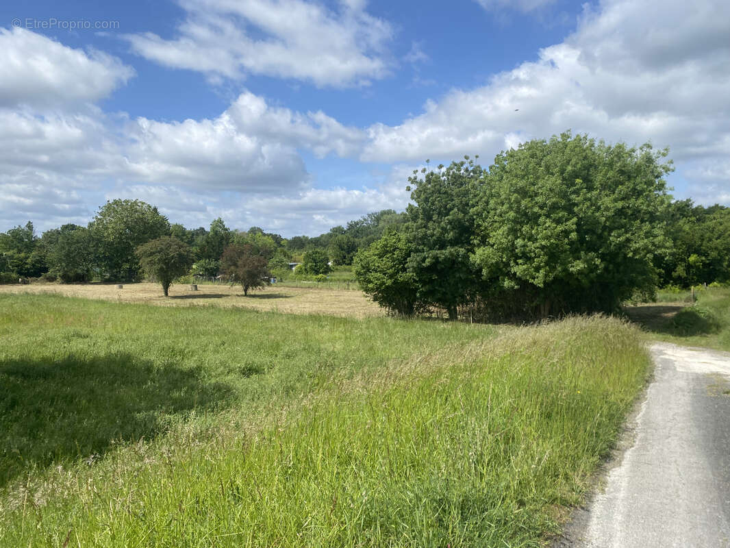 Terrain à LA RICHE