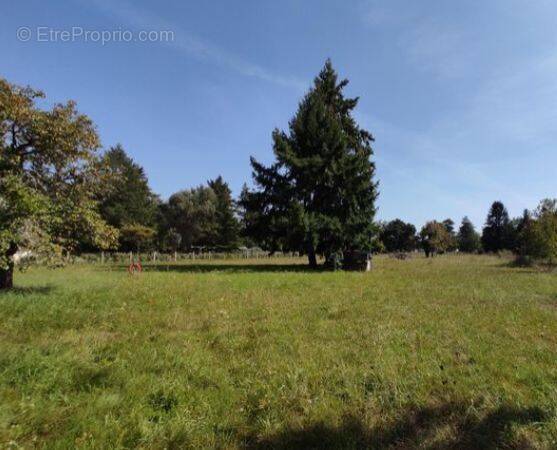 Terrain à LA FERTE-BEAUHARNAIS