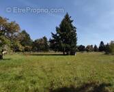 Terrain à LA FERTE-BEAUHARNAIS