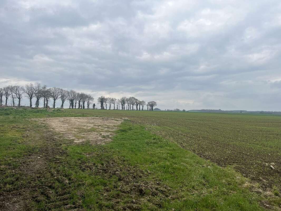 Terrain à TAUPONT