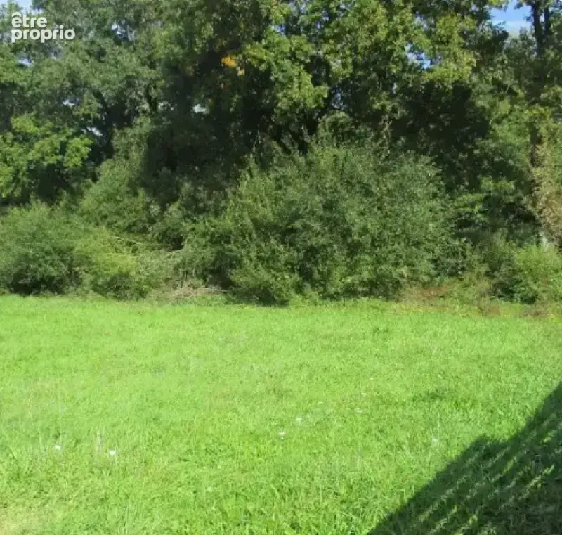 Terrain à VAIRE