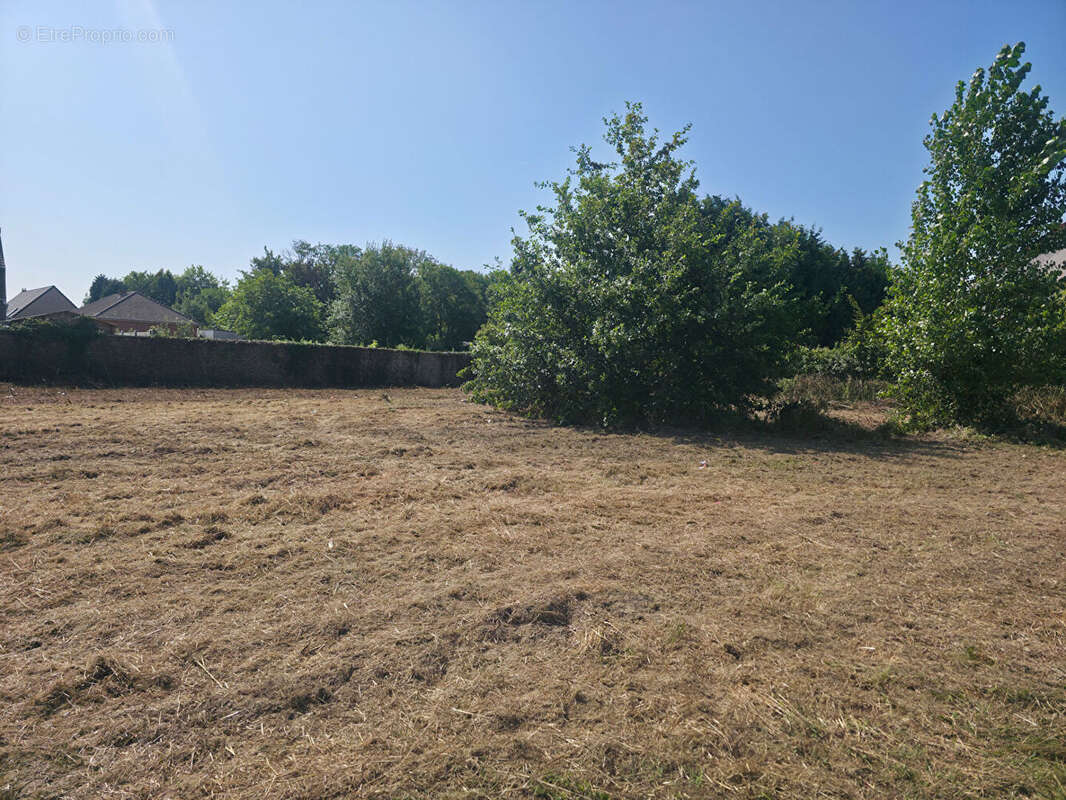 Terrain 3255m² à audruicq - photo 3