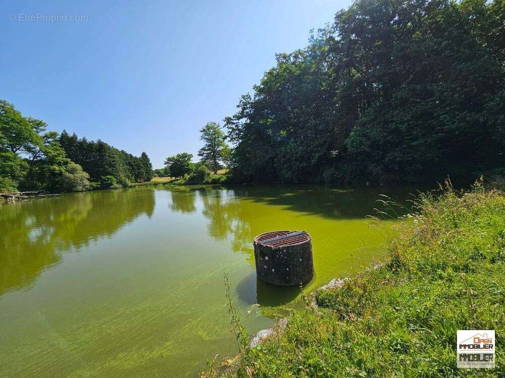 Terrain à SAINT-PRIEST-LA-FEUILLE