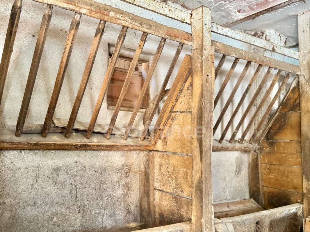 Maison de bourg de 100 m2, 3 chambres, terrain attenant de 371 m2 + 2450 m2 indépendant, 200 m2 de dépendances, caves, fibre opt - photo 21