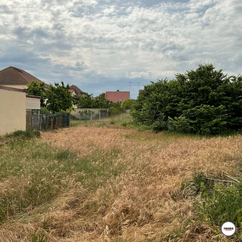 Terrain à LES MUREAUX