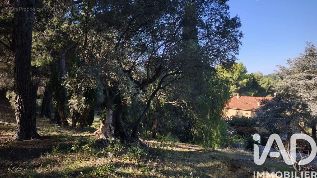 Photo 3 - Maison à OLLIOULES