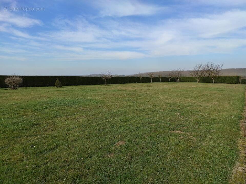 Terrain à DAMMARTIN-EN-SERVE