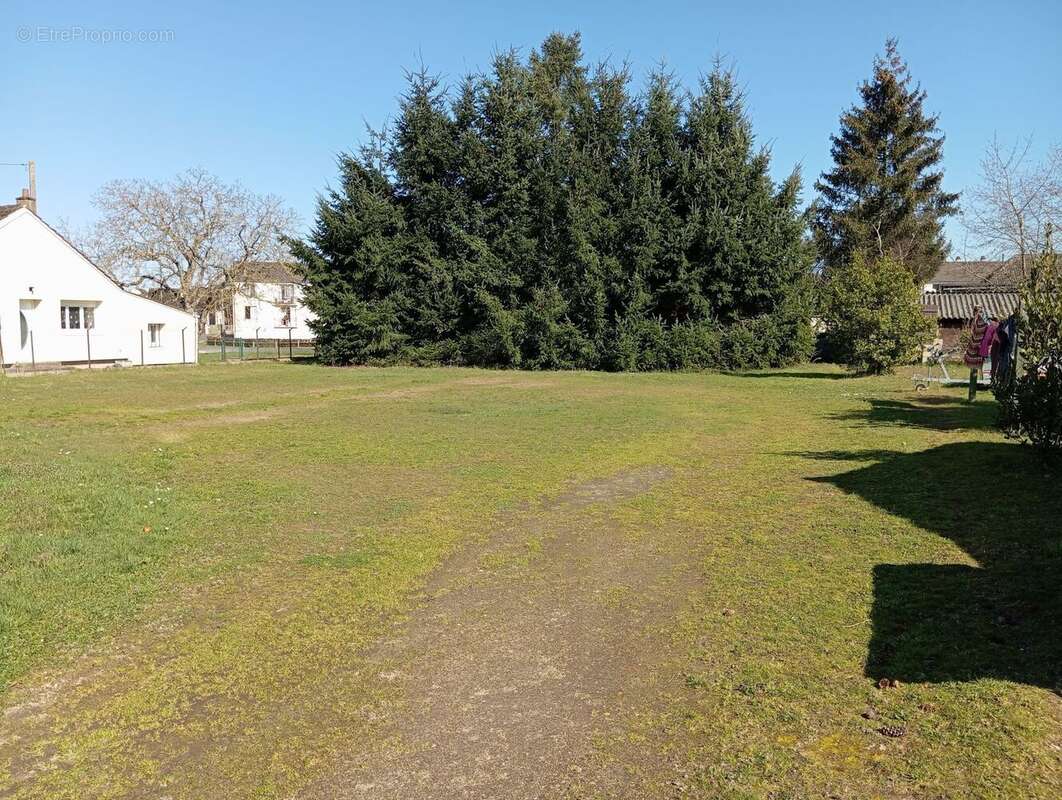 Terrain à CHATEAUNEUF-SUR-LOIRE