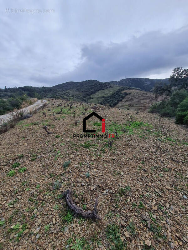 Terrain à BANYULS-SUR-MER