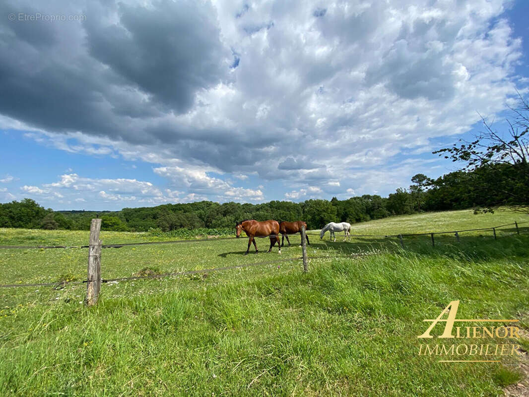 Propriété équestre d'exception sur 42 hectares - vue panoramique et tranquillité absolue! - photo 4