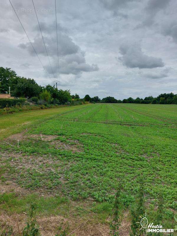 Terrain à SAINT-HILAIRE-AU-TEMPLE