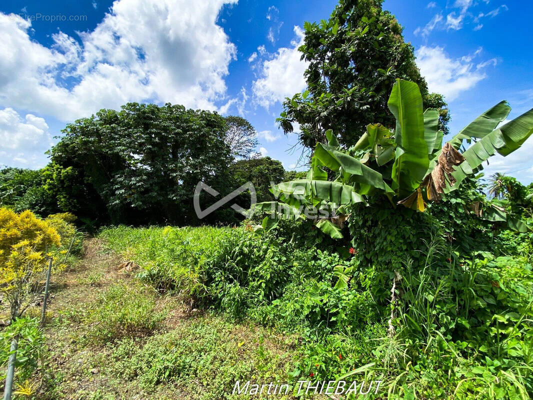 Terrain à LE LAMENTIN