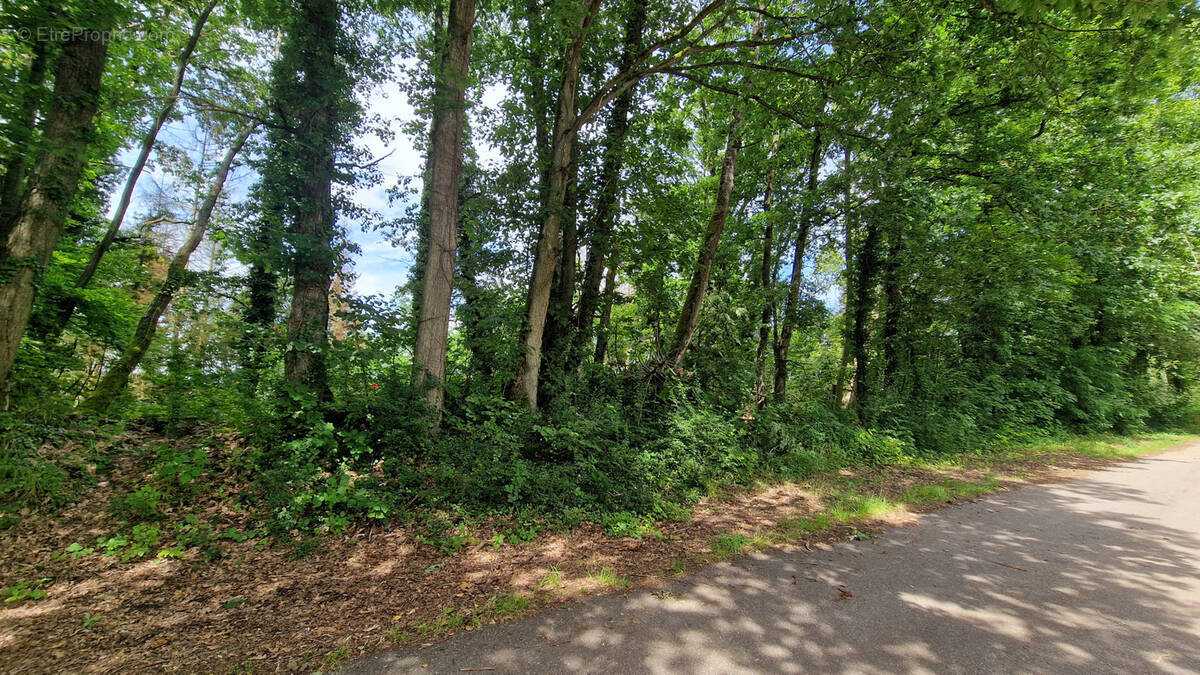 Terrain à COURCELLES-CHAUSSY