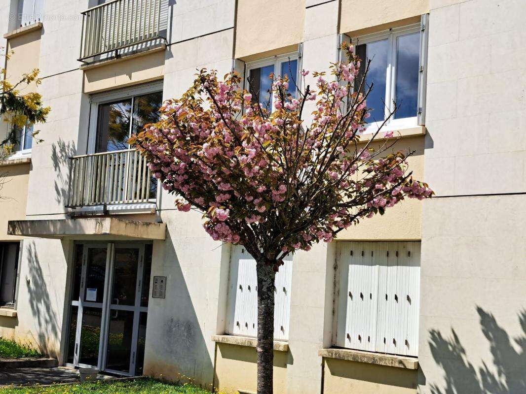 Appartement - photo 11