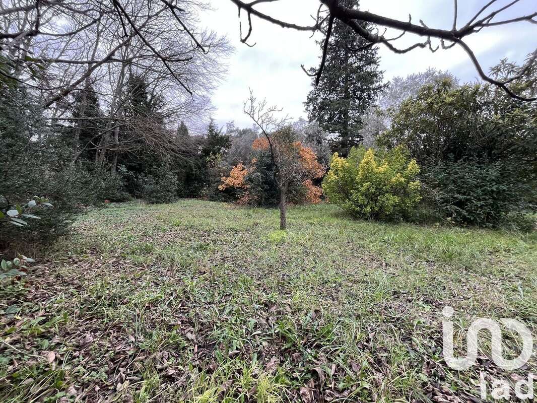 Photo 5 - Terrain à SABRAN