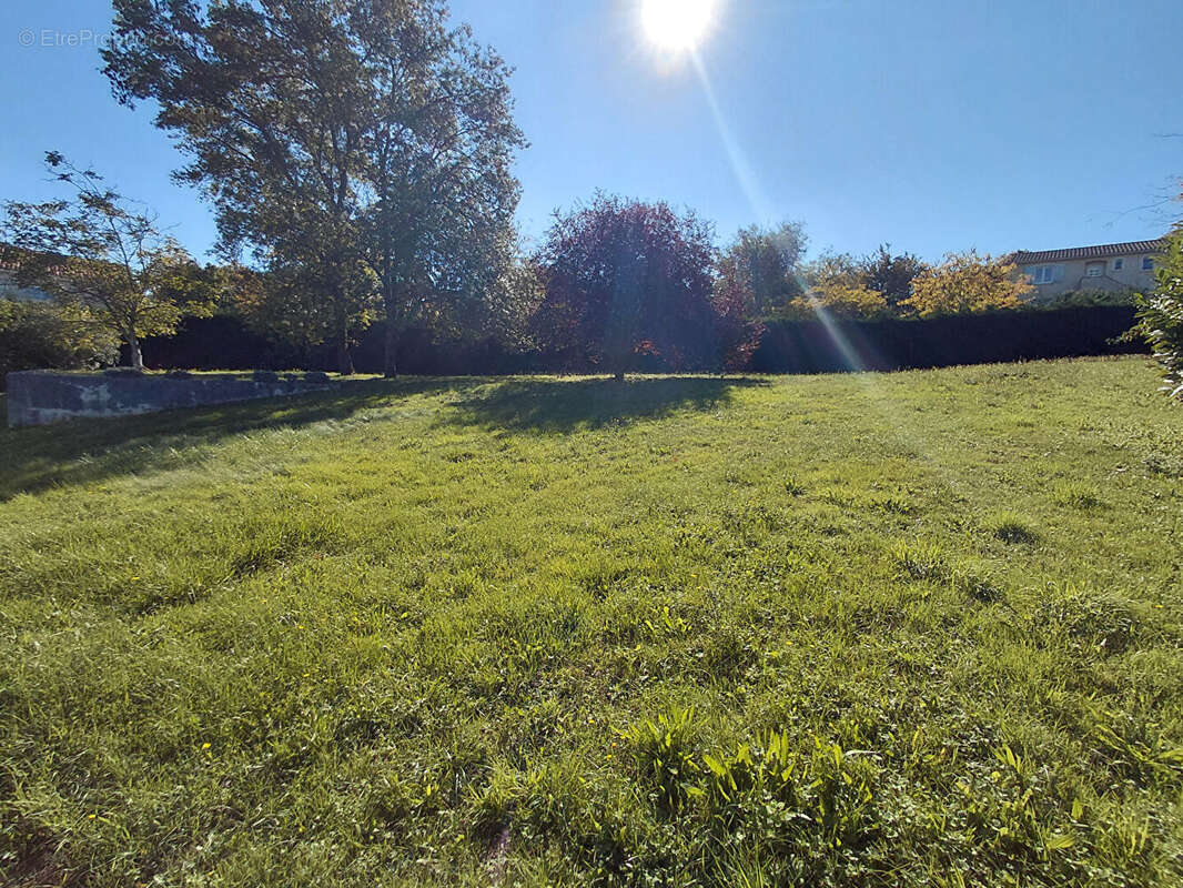 Terrain à MONTRABE