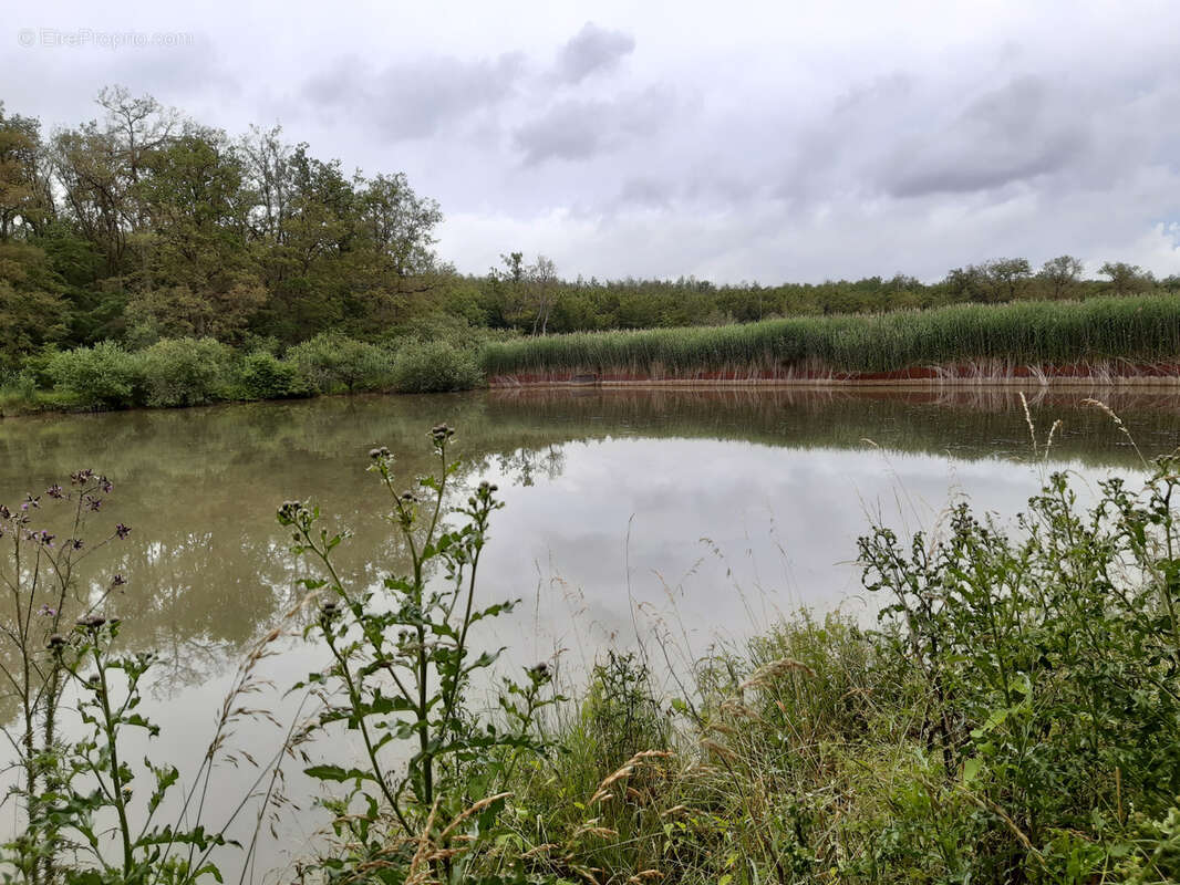 Terrain à TOUL
