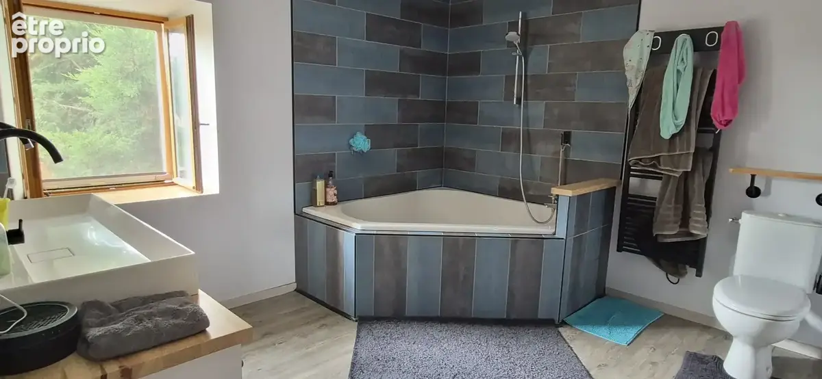 Maison 12 pièces 360 m² à vendre à Brizambourg (17770) - photo 9