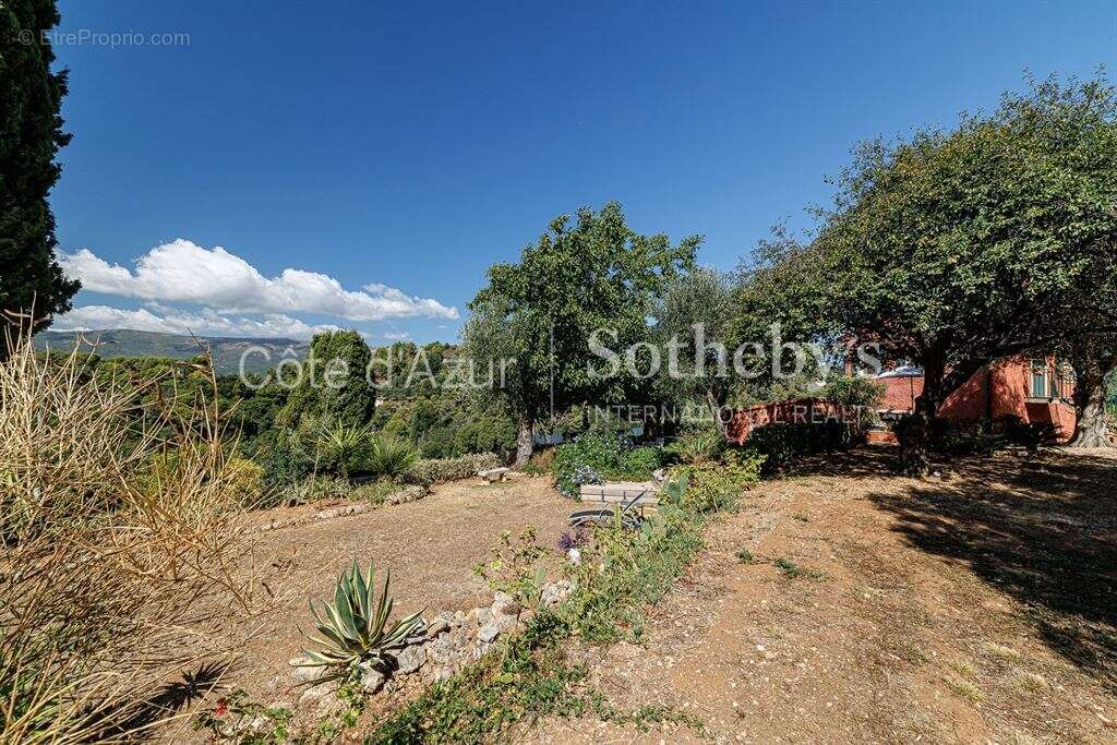 Terrain à ASPREMONT