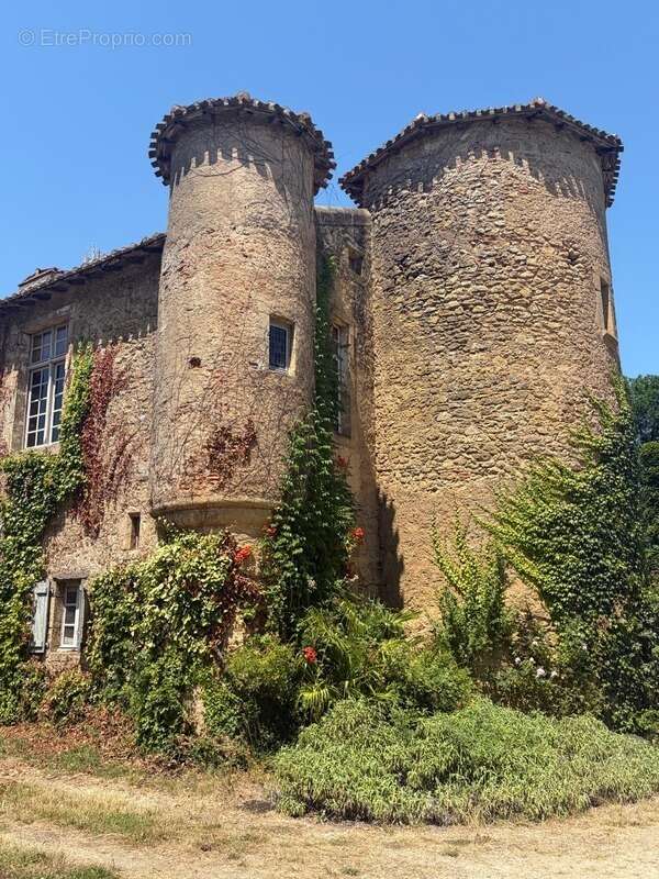 MARCIAC(32): ancienne SEIGNEURIE avec BEAU CHATEAU XIV sur 3,5ha, cachée, au bout du chemin, sans voisin, en campagne, 500m2 hab - photo 35
