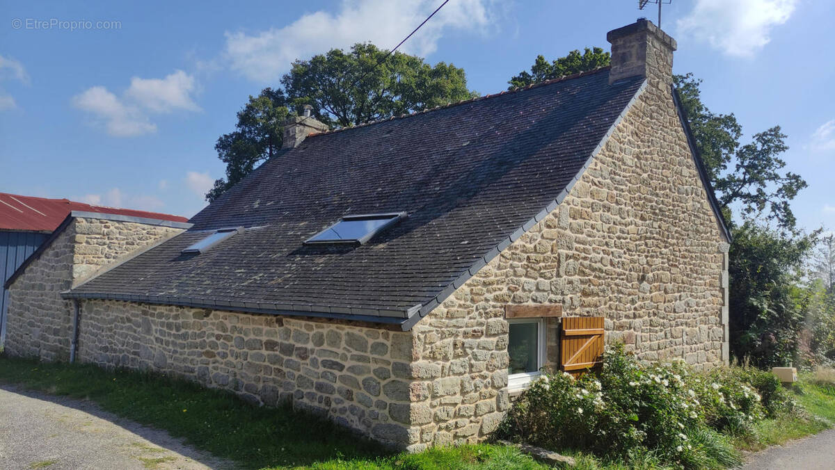 Arrière maison - Maison à LANGONNET