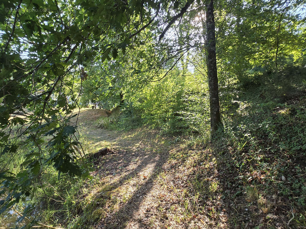 Ensemble de 3 habitations sur un parc de 2ha76 avec étang! - photo 51