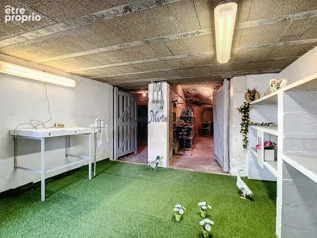 COUTURE SUR LOIR (dpt 41),Maison à vendre 85m²- 4 pièces-dépendance-garage-caves - terrain 2372m² - photo 6
