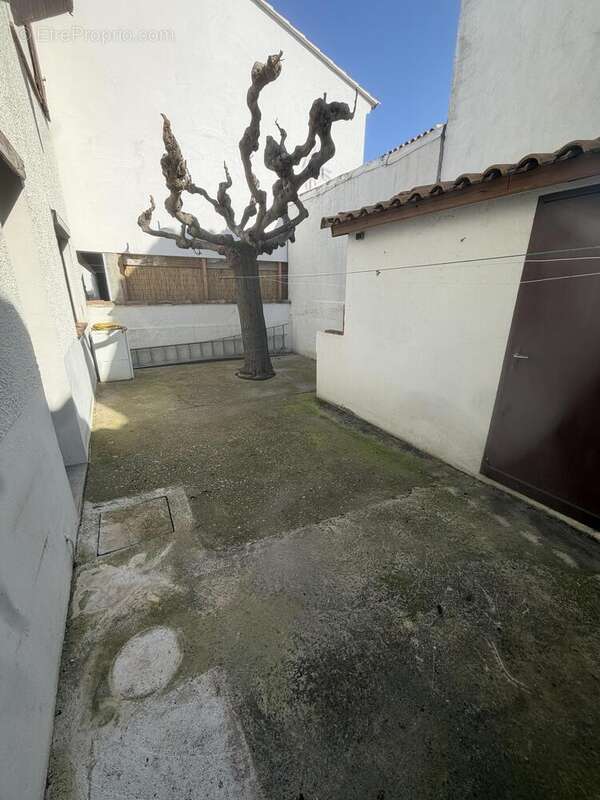 Maison 102 m² à Saintes-Maries-De-La-Mer  - photo 3