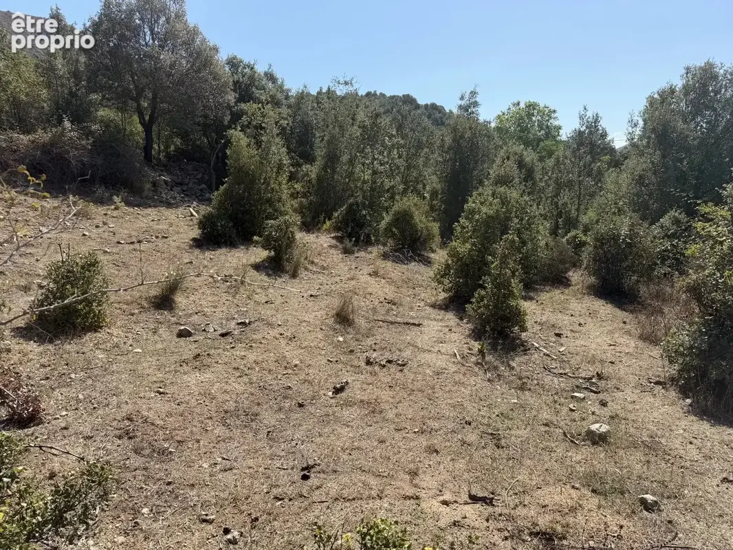 Terrain à CANAVAGGIA