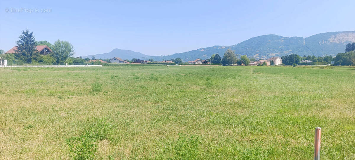 Rare à la vente : terrain 1059m2 constructible à amancy - photo 2