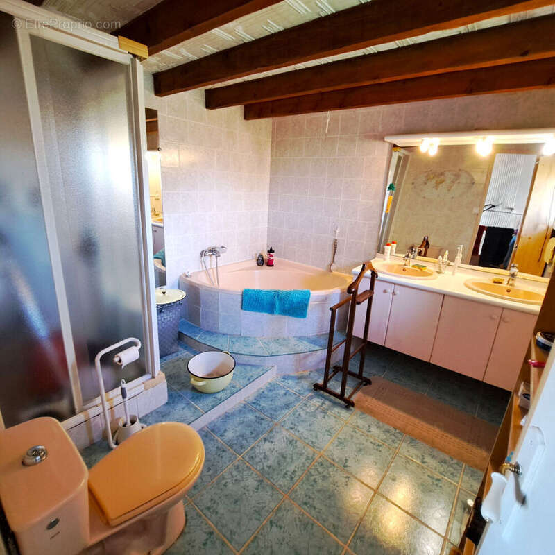 Maison à ORLIENAS
