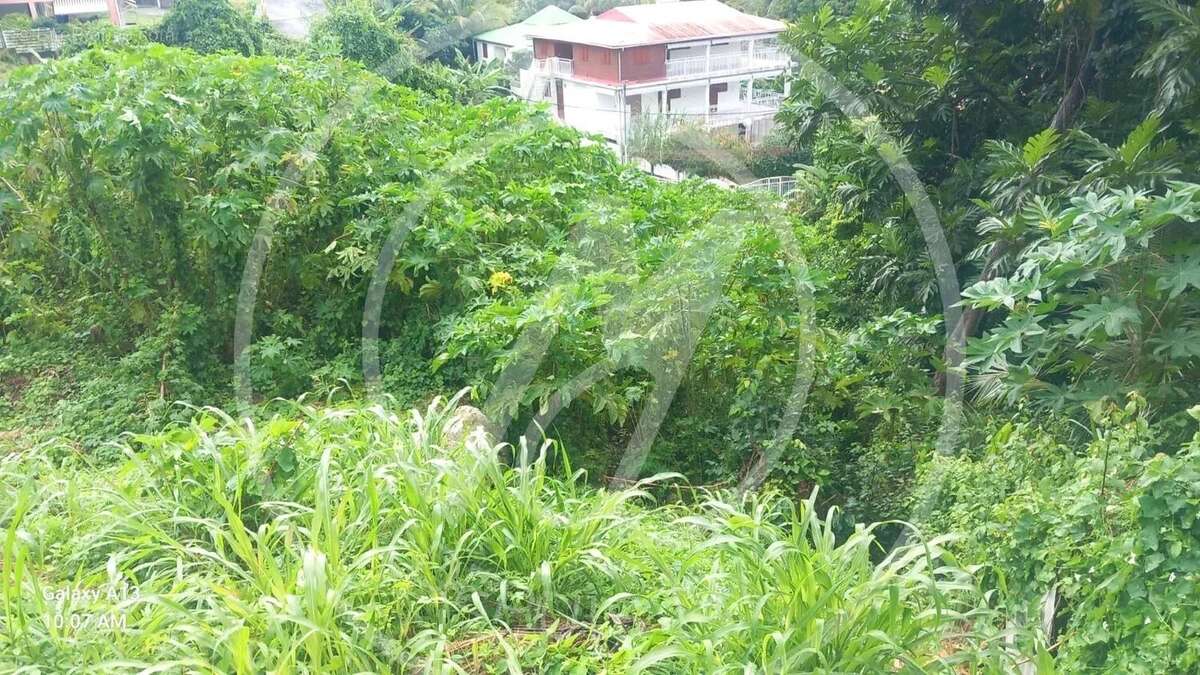 Terrain à LE GOSIER