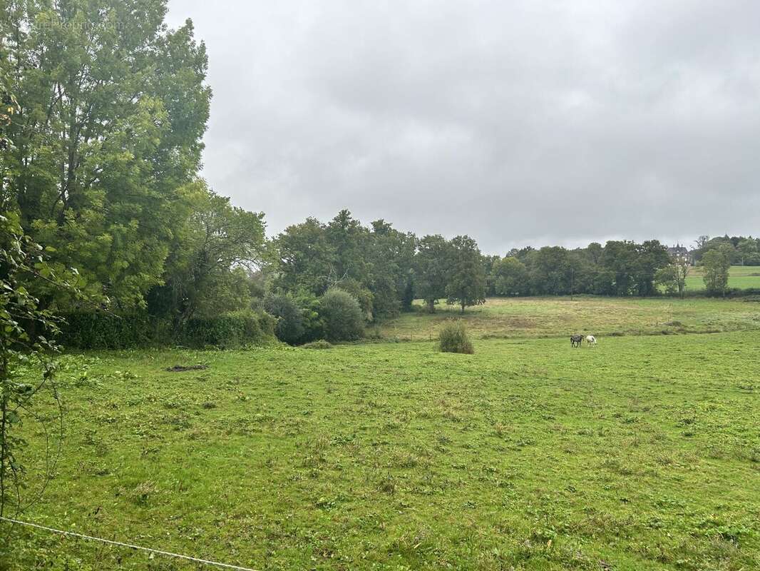 Terrain à BOISSEUIL