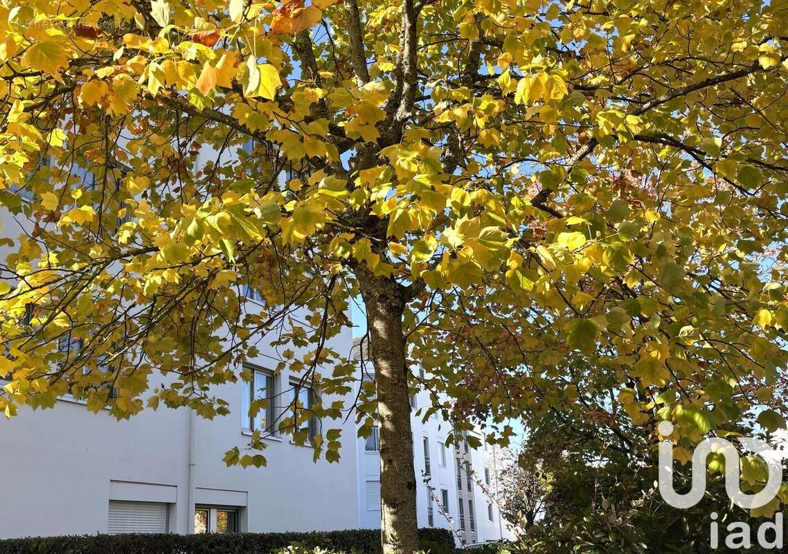 Photo 6 - Appartement à NANTES