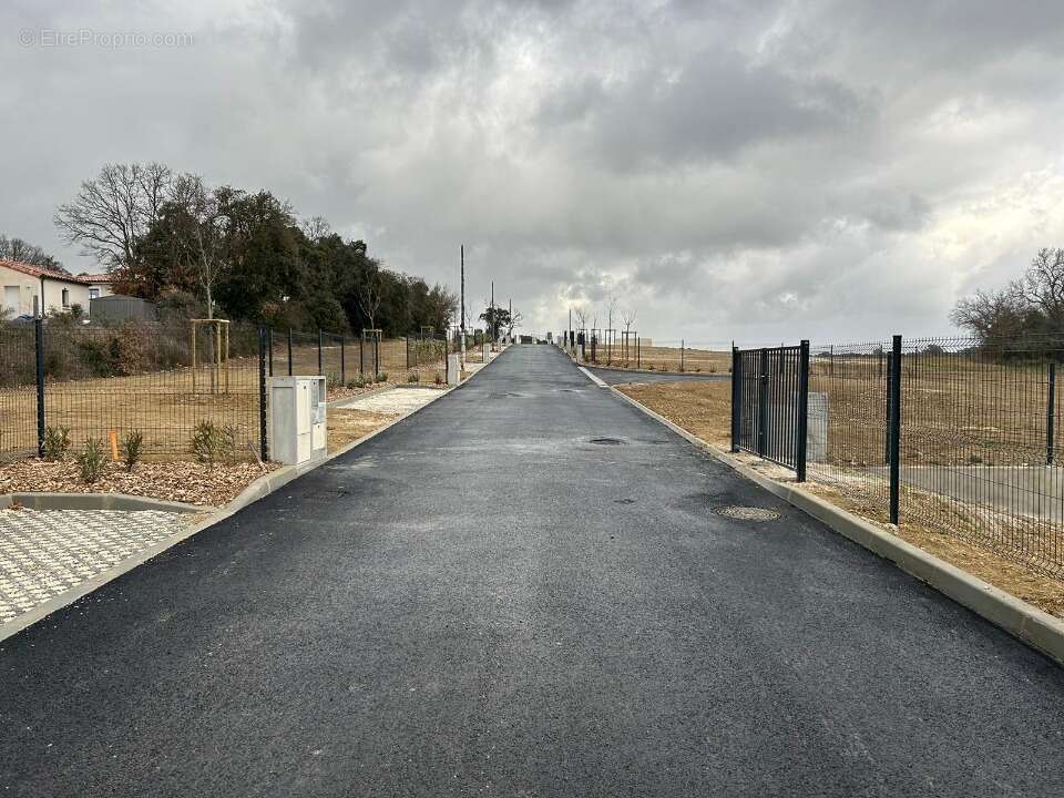 Terrain à MONTAGNAC