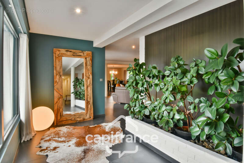 Maison à COUDEKERQUE