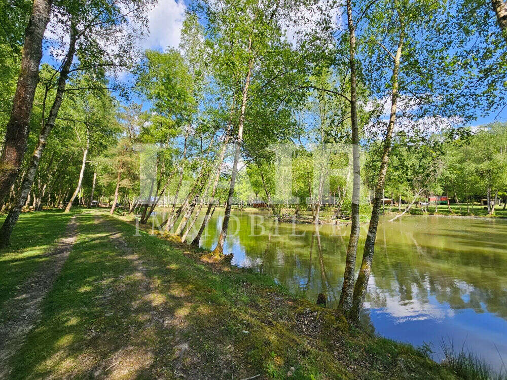Terrain à SAINT-LEONARD-DES-BOIS