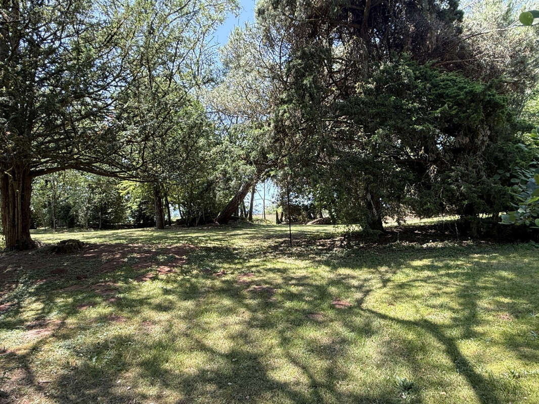 Propriete avec grand parc proche objat - photo 29