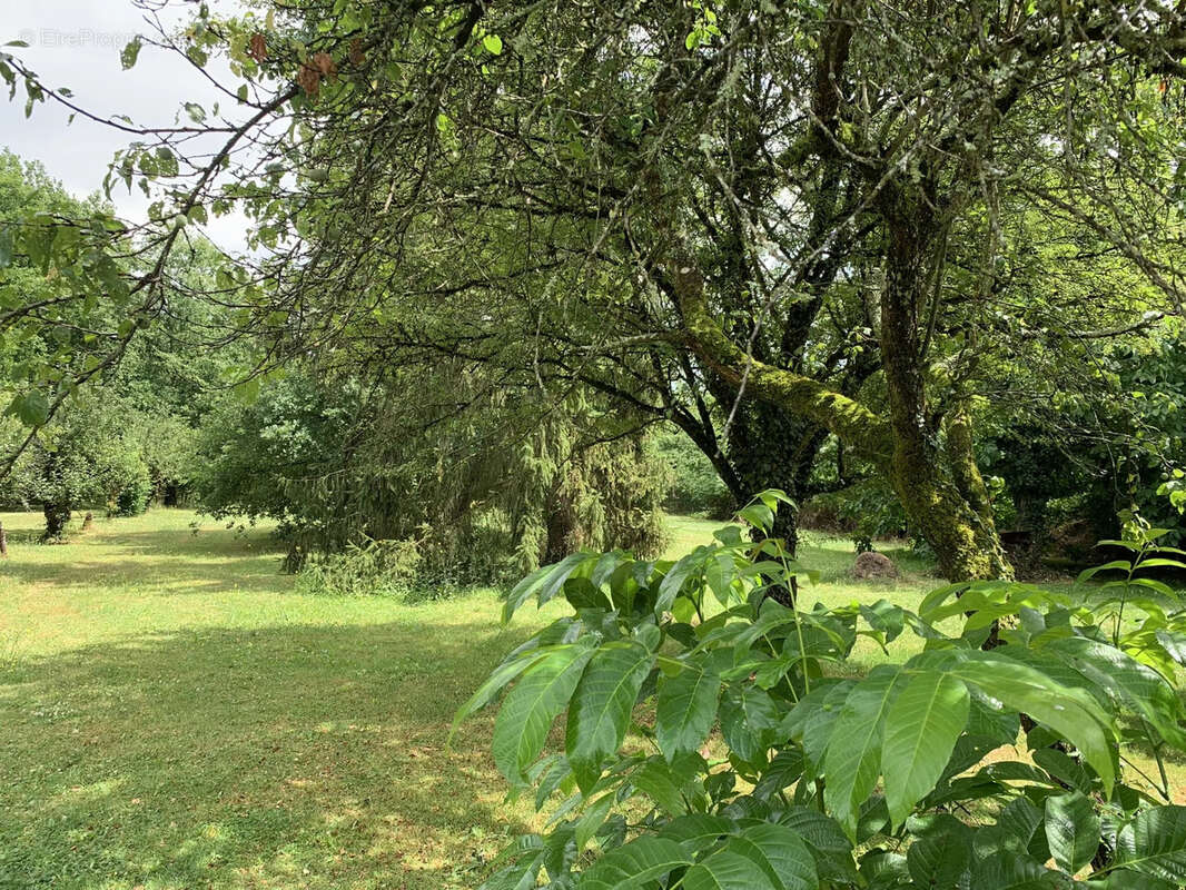 Maison à SAINT-GAULTIER